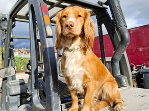 How to Find Ross Reclamation (and Ross Retro Inside): Your Hidden Gem in Ross-on-Wye