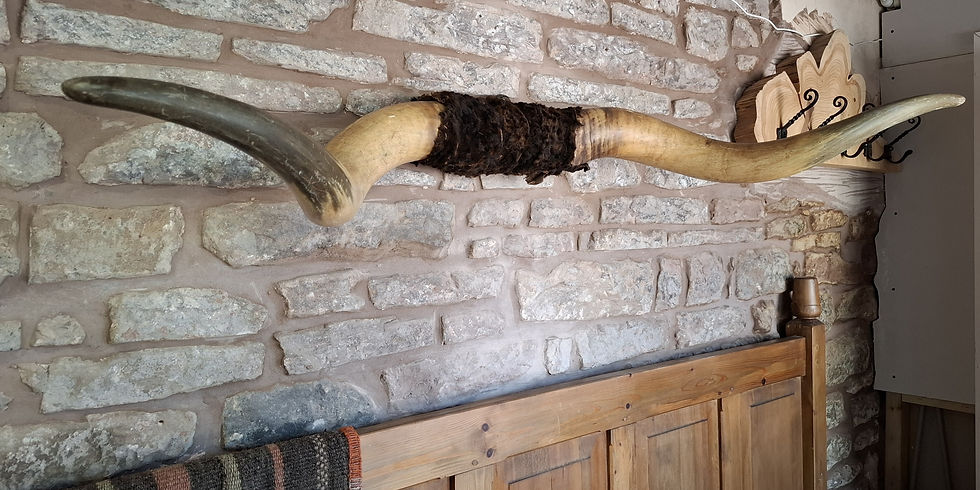 Western-style decorative longhorns for wall display, featuring classic curved horns and brown fur trim.