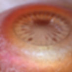 Underside of Jeannette Crackle marigold bowl with starburst base pattern.