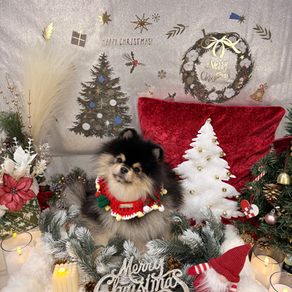 New!! フォトブース📷