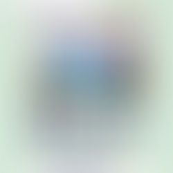 ドッグフード取り扱い開始🦴