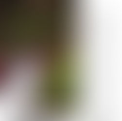 Getting the Message Out