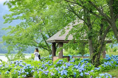 thumb-5d1eb41c4952e (1).webp