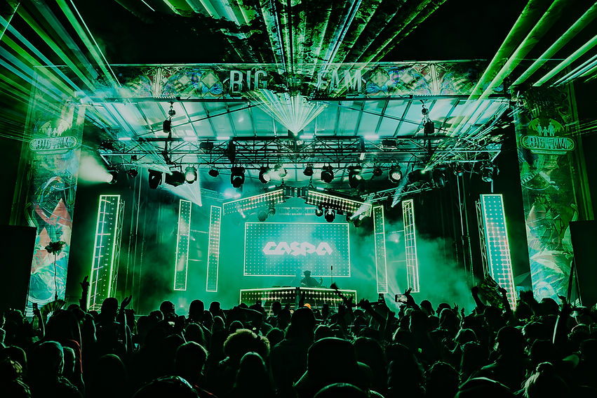 Ryan Hood - Caspa-4_edited.jpg