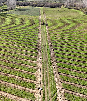 DJI_20231220114253_0040_D.JPG