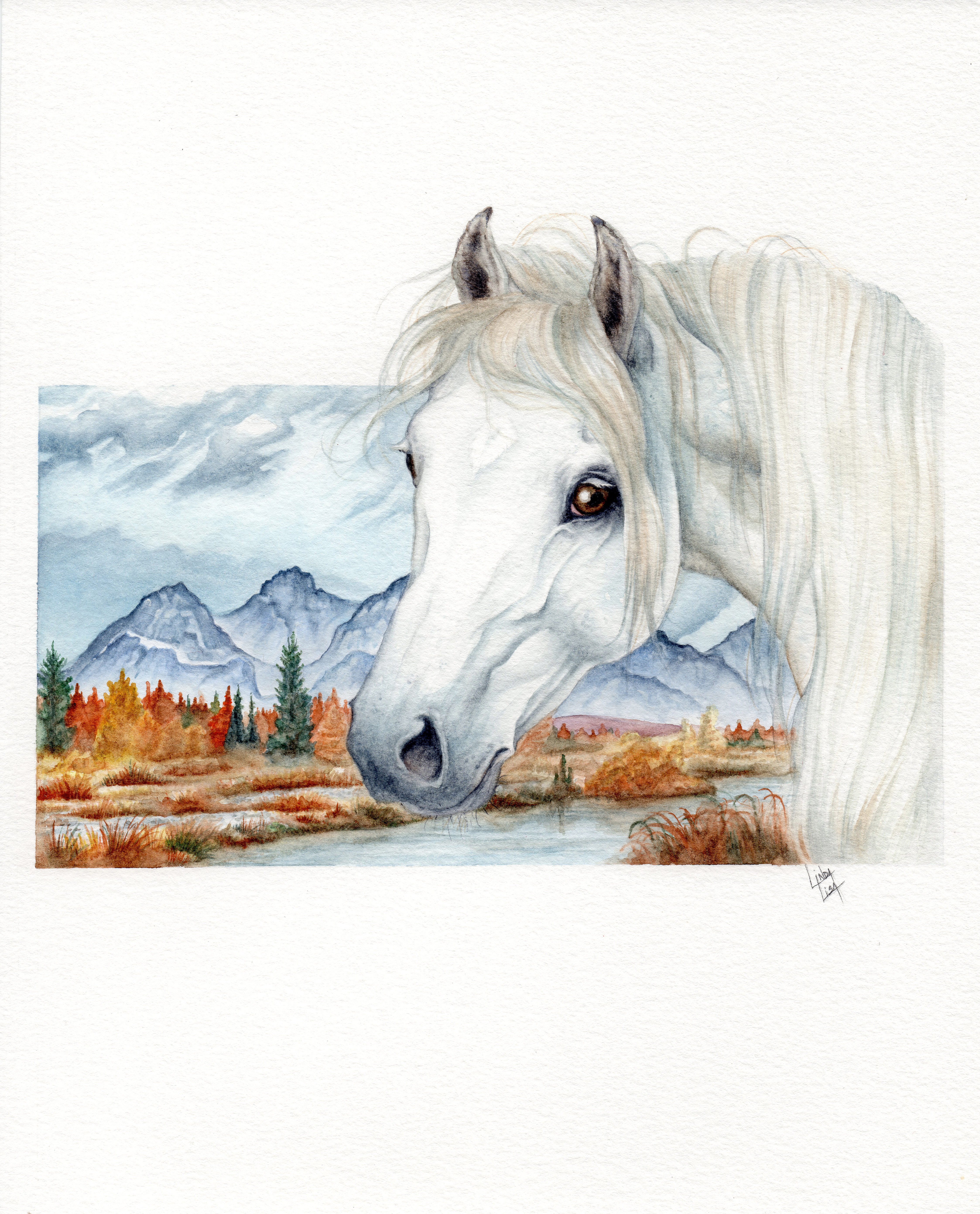 "Arabian Star"