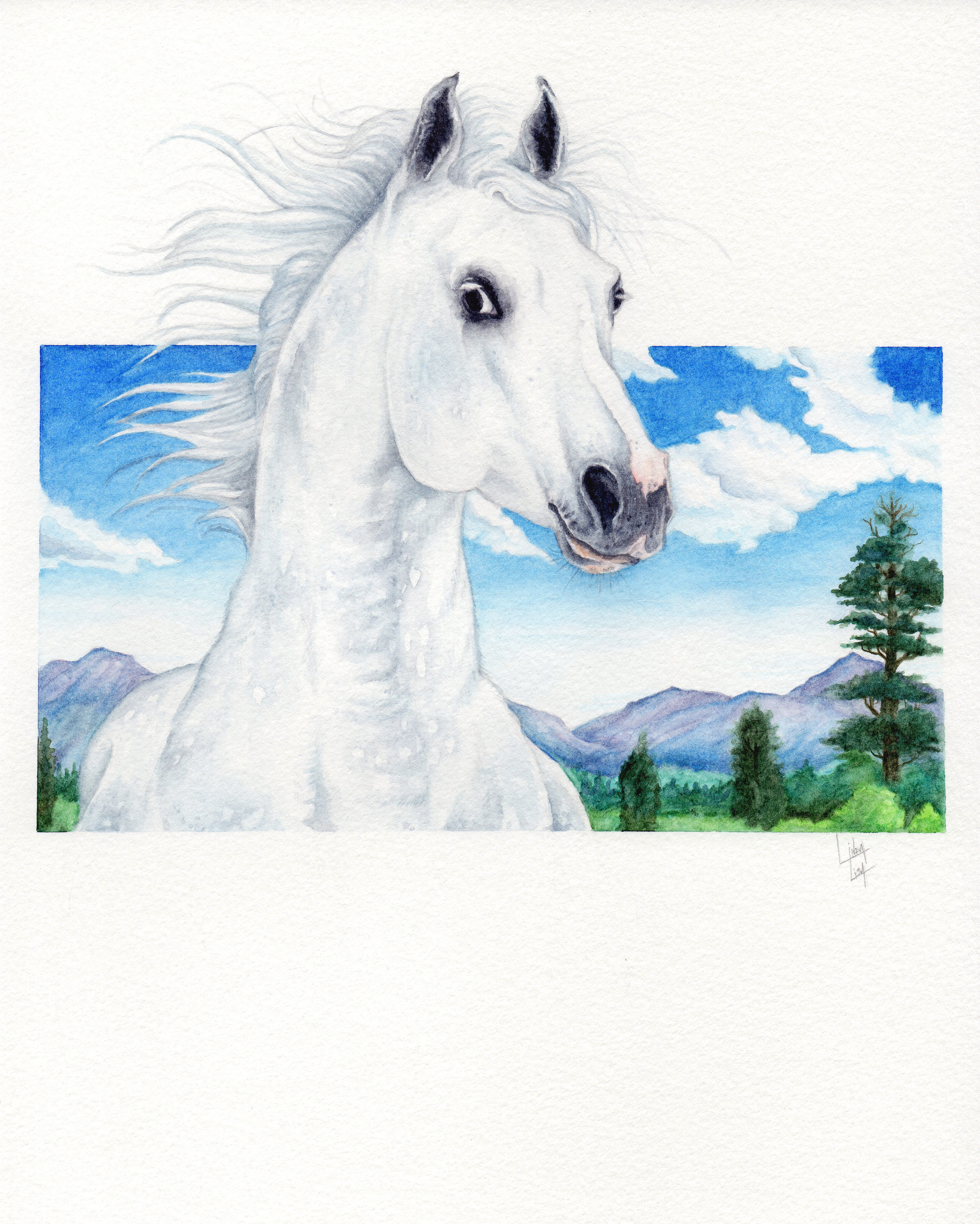 "Dapple Blaze"