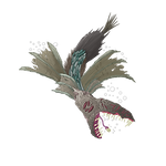 Wretched Ruinfish