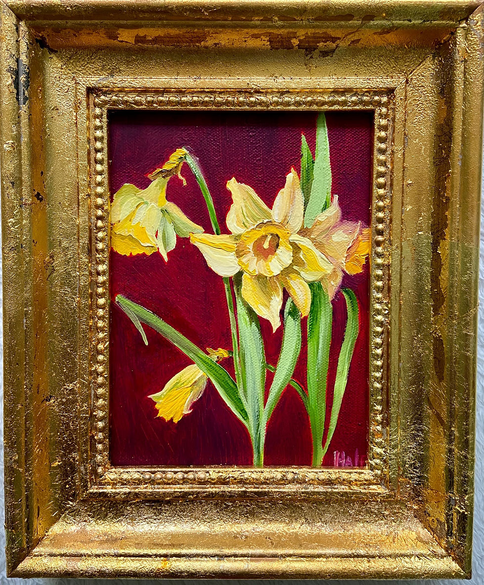 Daffodils