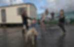 Michele zousmer irish travellers social landscape 7