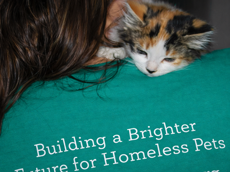 Welcome to the Coronado CARES Blog 🐾