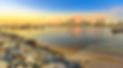 CCF Spotlight Graphics_Website_Revised(11).png