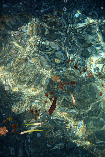11 porquerolles 06.JPG