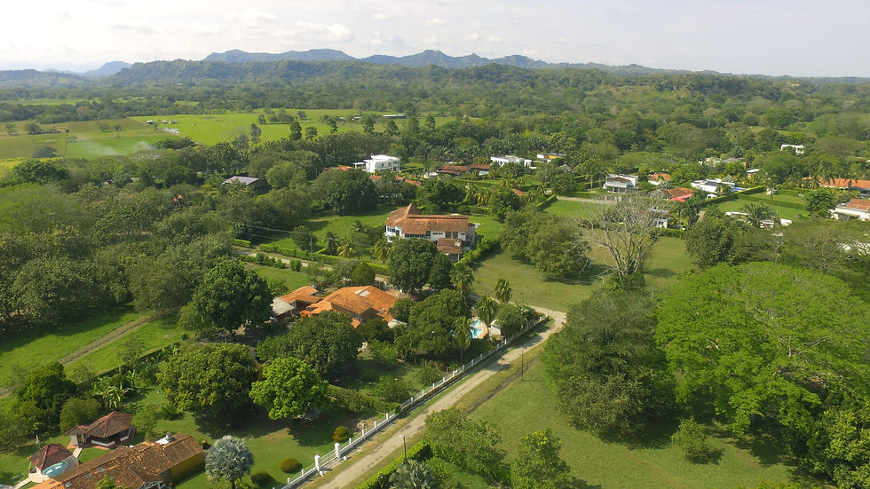 DJI_0083