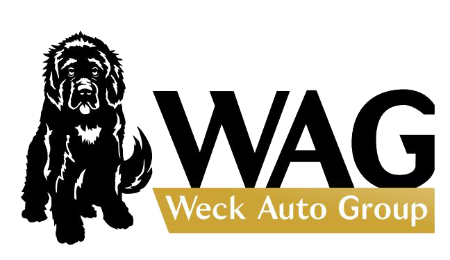 WAG YELLOWsoliduniversalJPG.png