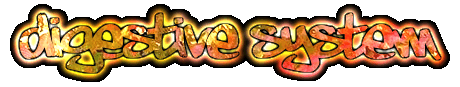 dig sys.gif