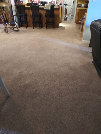 Carpet Fresh & Clean.jpg