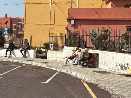 El PSOE de El Paso exige mejoras en la parada de guaguas provisional durante las obras del Hotel Escuela Monterrey