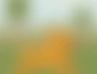 A cheerful golden dog runs freely across a large green field with trees, hills, and a fence in the background, representing the joy and benefits of spacious play areas.