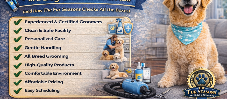 10 Things to Look For in a Dog Groomer in El Paso (and How The Fur Seasons Checks All the Boxes)