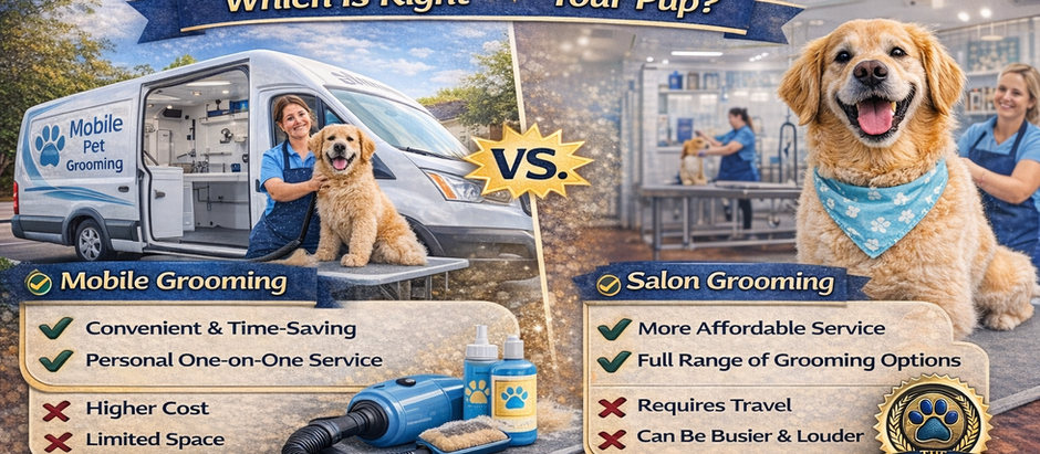 Mobile vs. Salon Grooming in El Paso: Which Is Right for Your Pup?