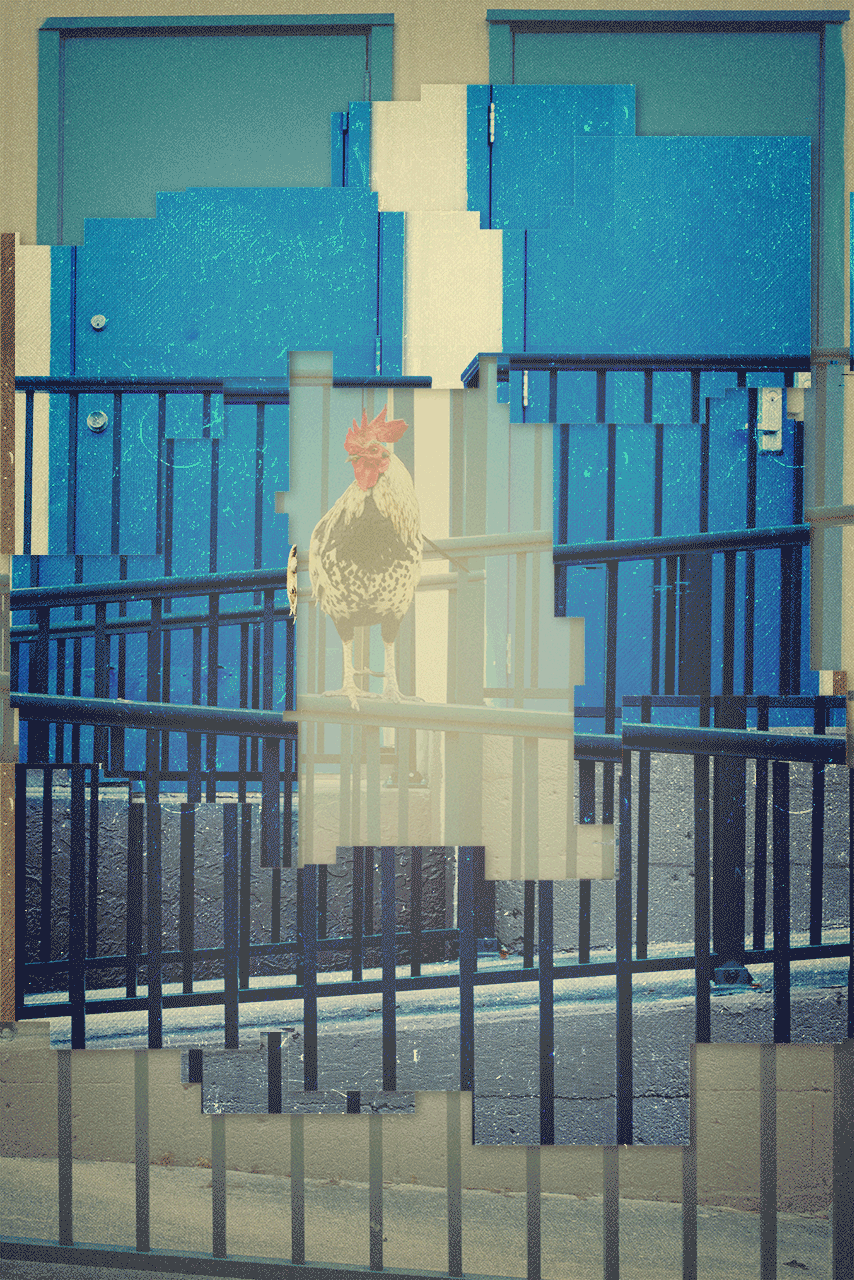 florida_in_colors1-Bearbeitet.gif