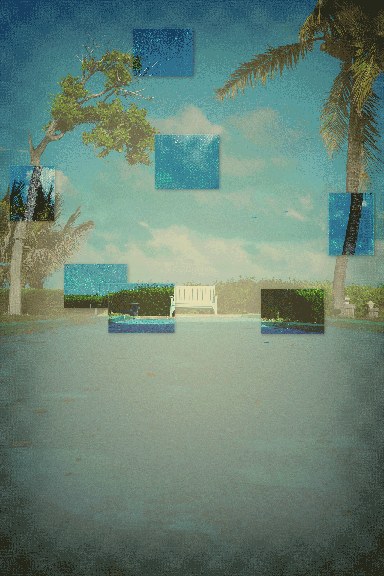 florida_in_colors6-Bearbeitet.gif