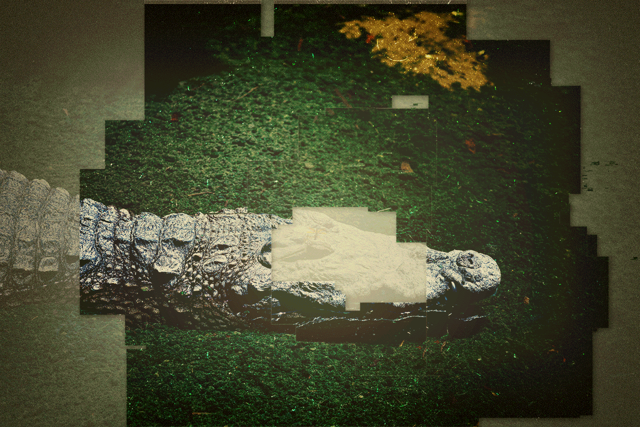 florida_in_colors9-Bearbeitet.gif