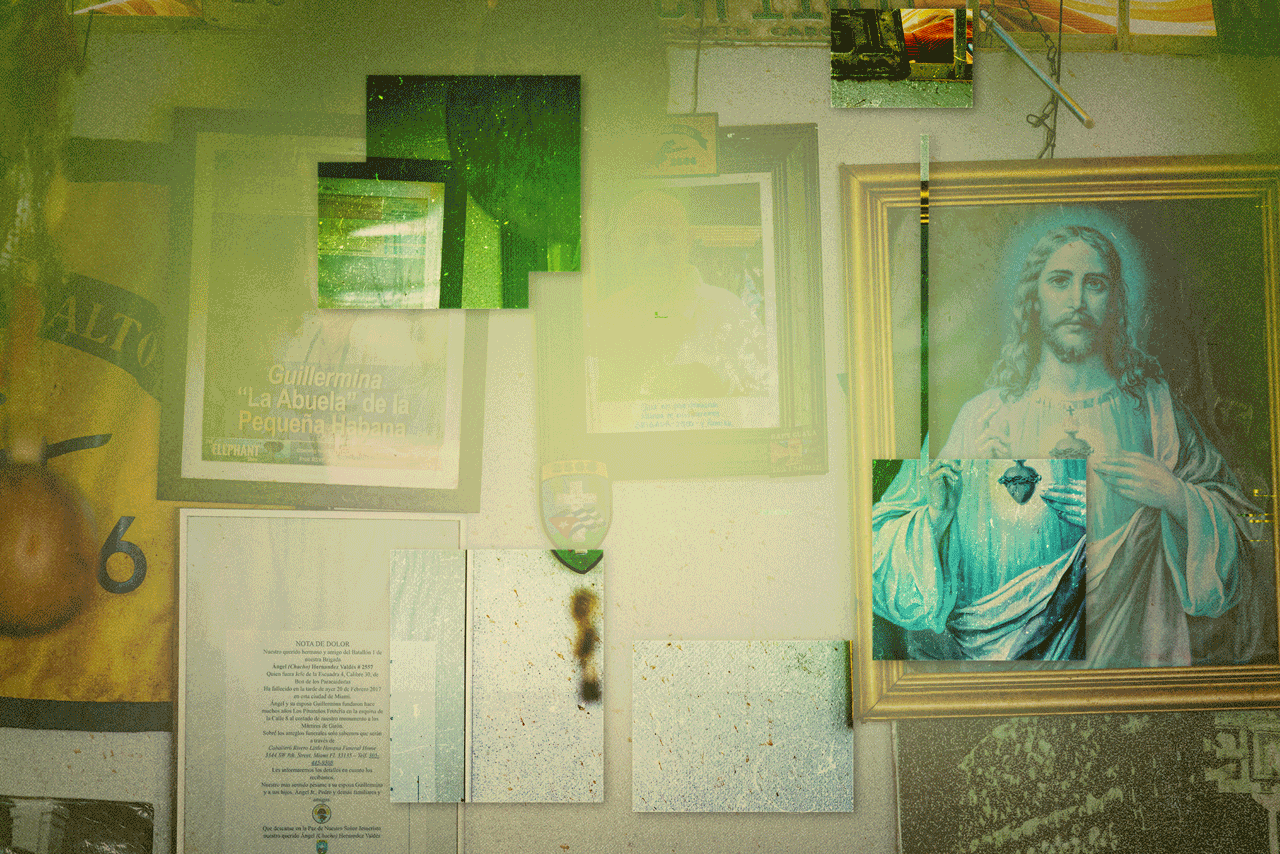 florida_in_colors11-Bearbeitet.gif