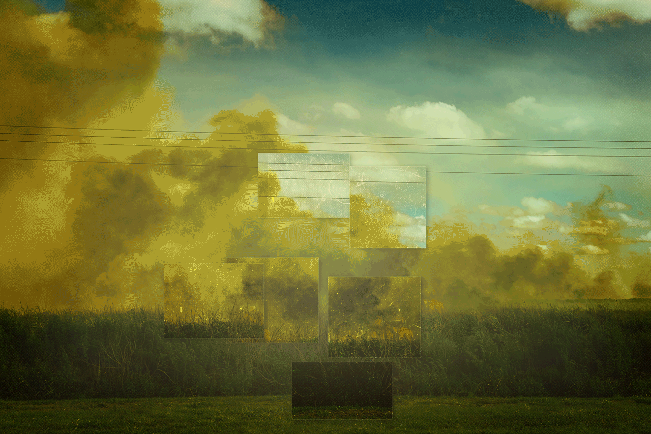 florida_in_colors2.1.-Recovered-Bearbeitet.gif