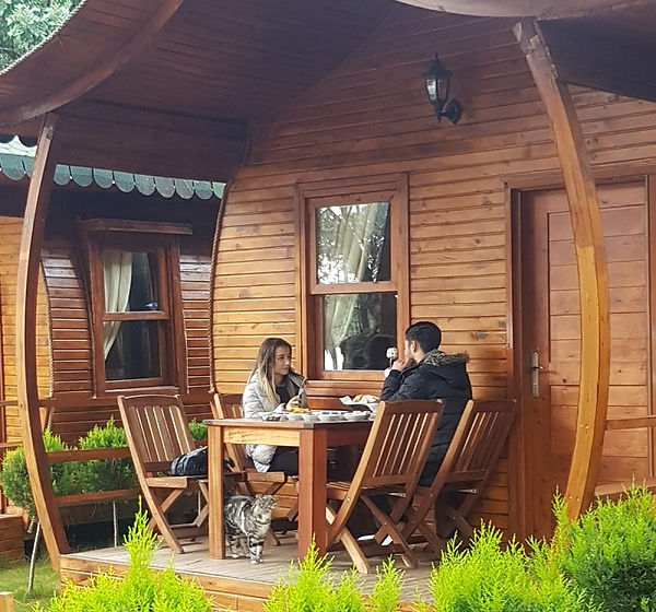 Denize Sıfır Hotel | Green pine beach | Türkiye