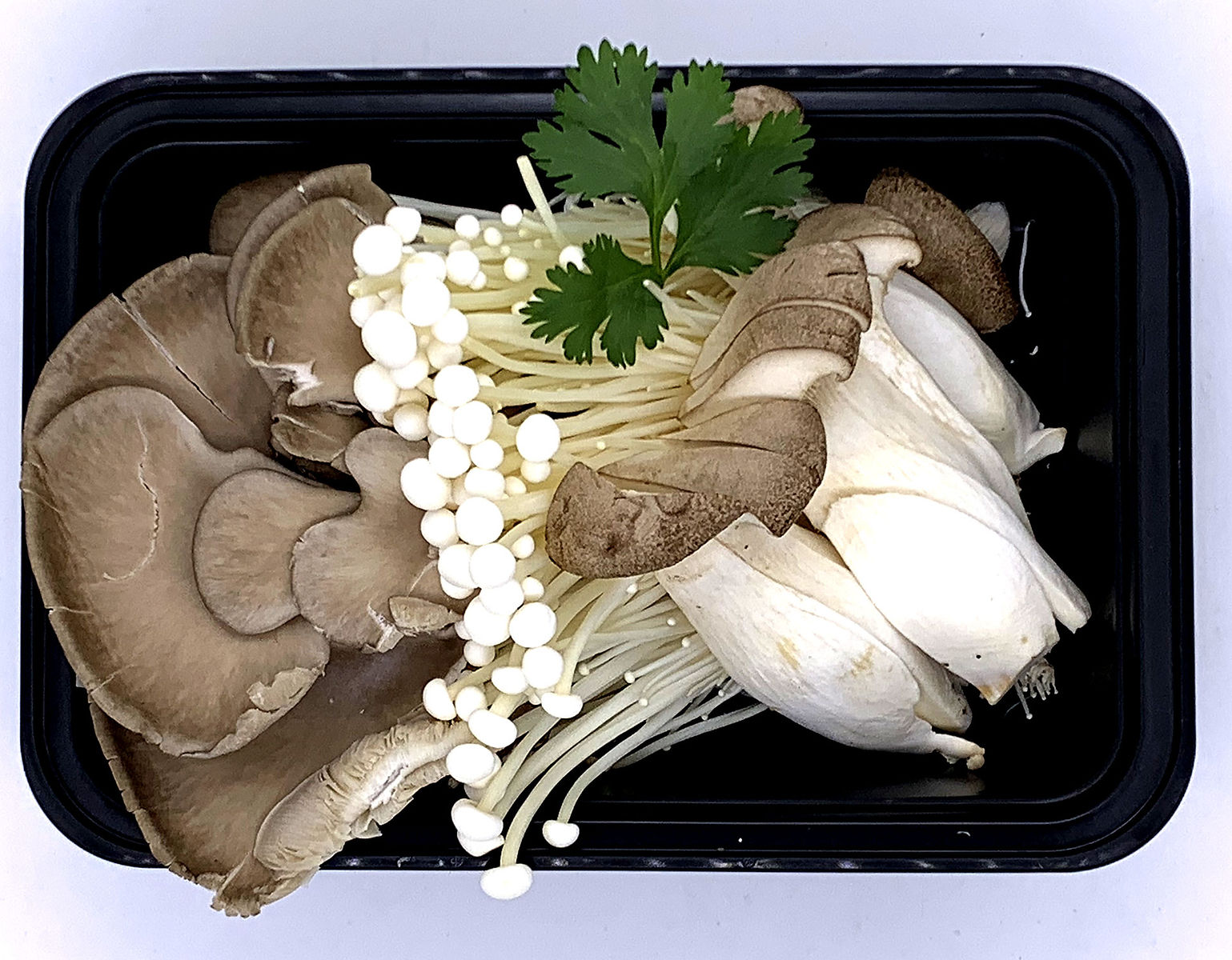 Mushrooms