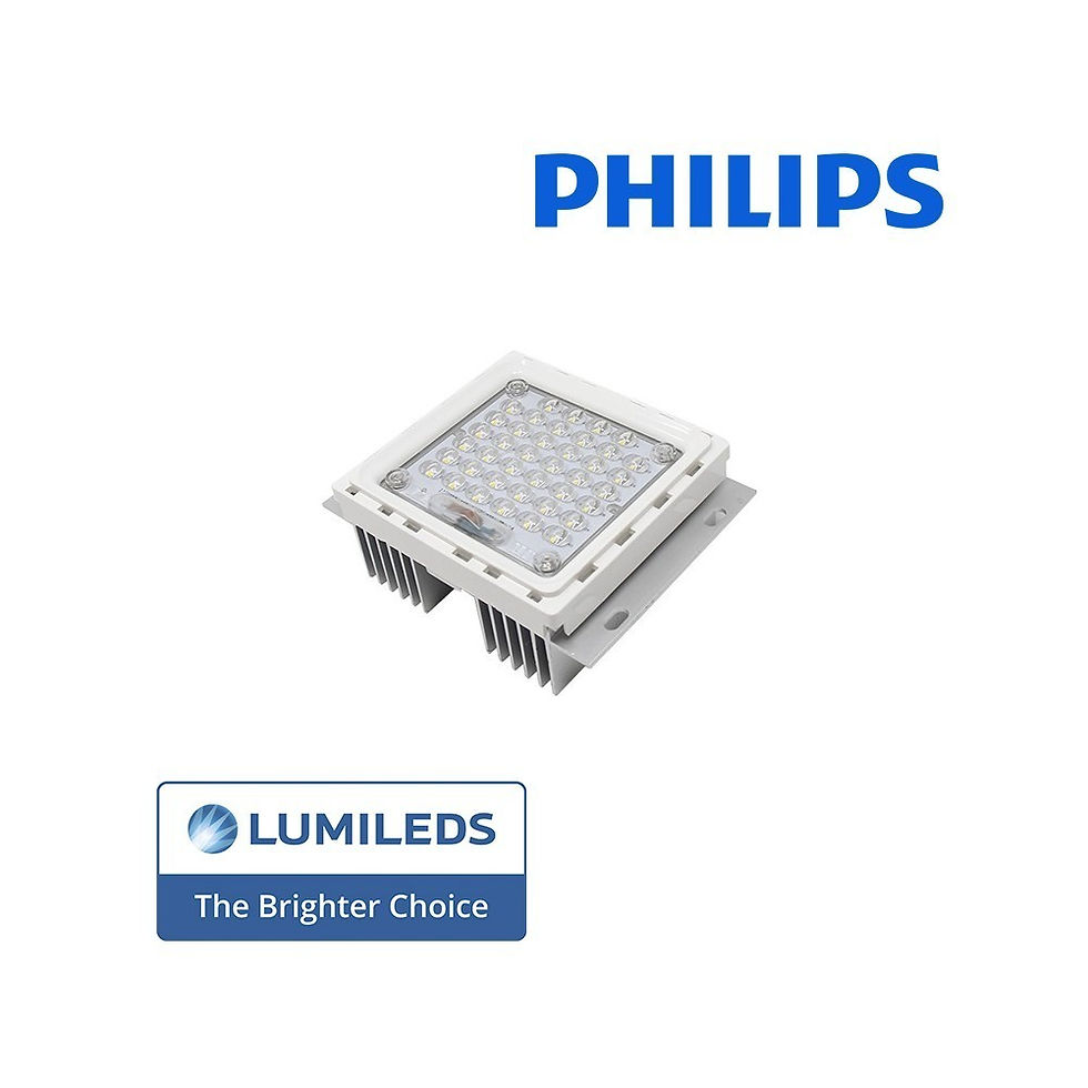 Miniatura: Farola LED 40W Philips Lumileds Eco SMD 3030 GxTronic