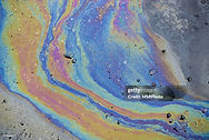 gettyimages-172644617-1024x1024.jpg