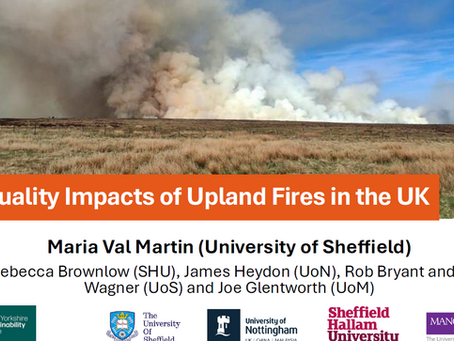 Air Quality Impacts of Upland Fires in the UK