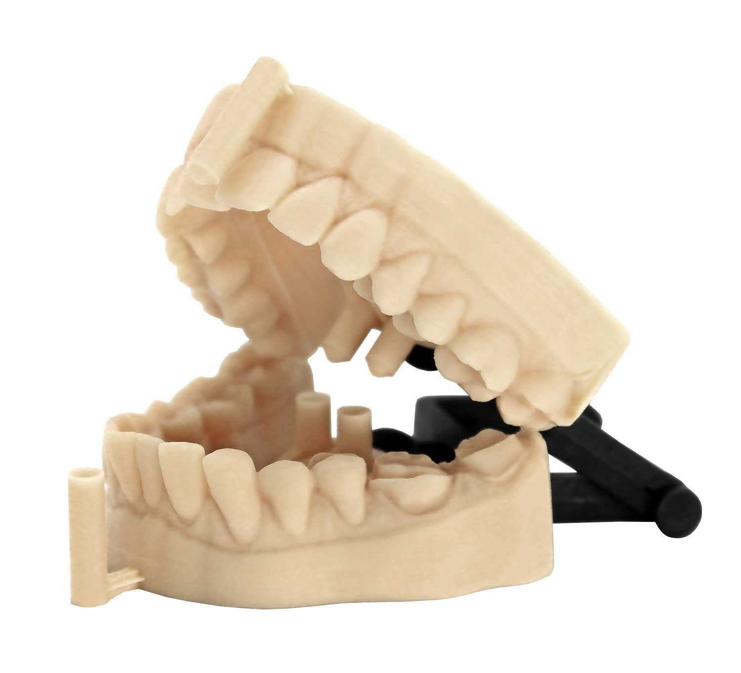 3d Print Model Work