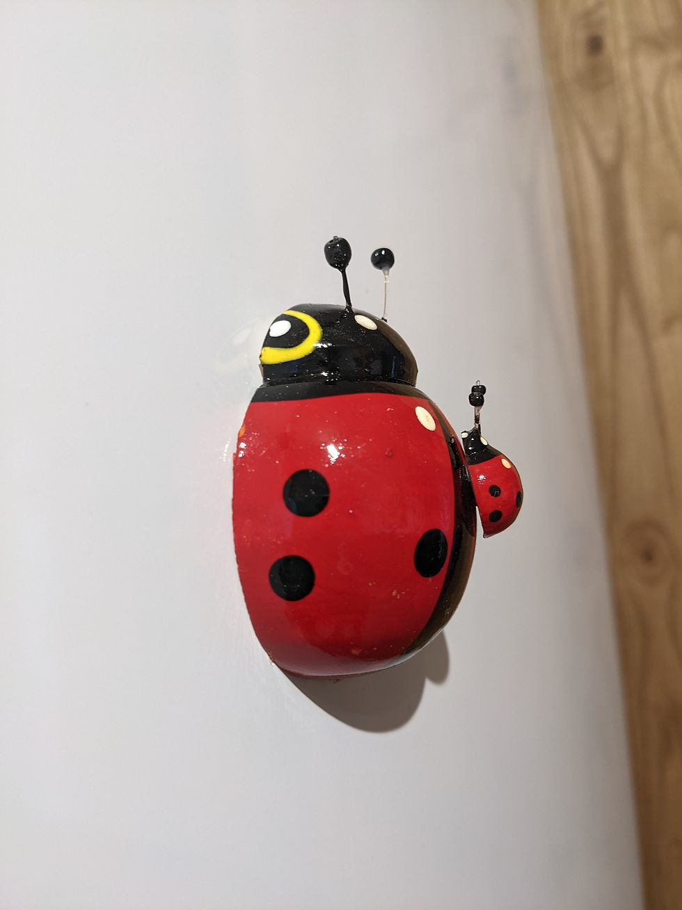 Miniature : Coccinelle duo, aimant en bois