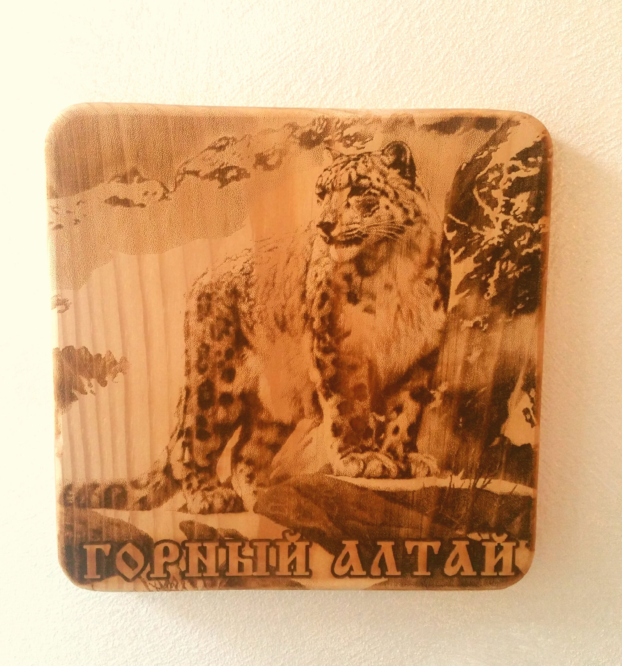 Planches en Cèdre de Sibérie/