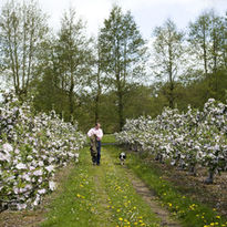 farm tour the apple farm.jpeg