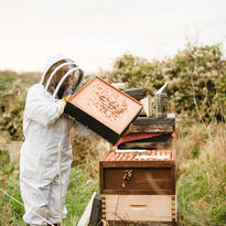 Culinary ExperiencesHero Slider - Brookfield Farm Honey Bees.jpeg