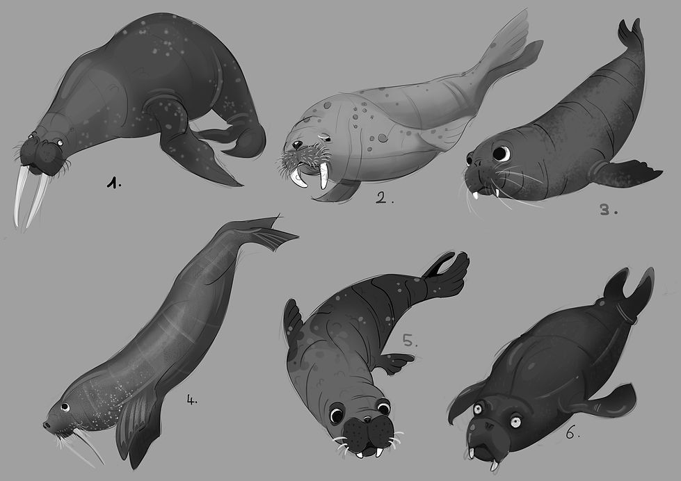 laurent-boissier_boilau-illustration_glisse-banquise_pengo-jump_morses_walrus_sketches_cro