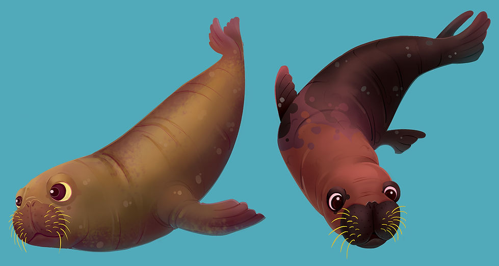 laurent-boissier_boilau-illustration_glisse-banquise_pengo-jump_sea-lion-lion-de-mer_all.j
