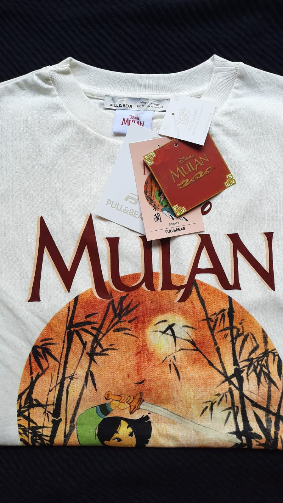 Thumbnail: P&B Disney Mulan