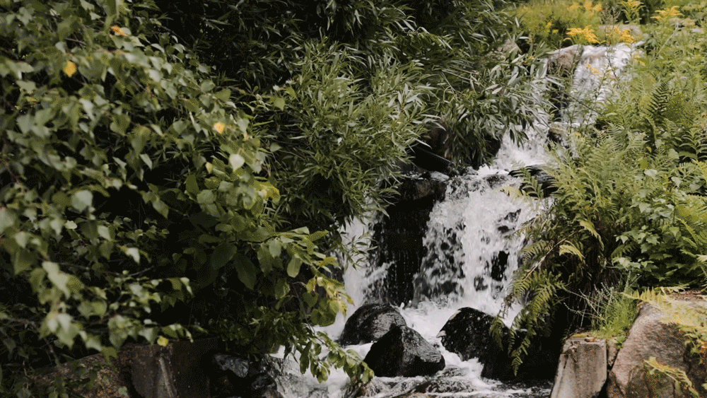 Liikkuva kuva valokuvatuotannossa_Jurgita Mozuraite_2.gif