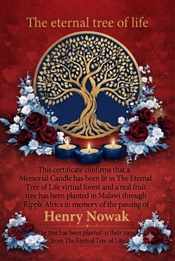 The eternal tree of life certificate