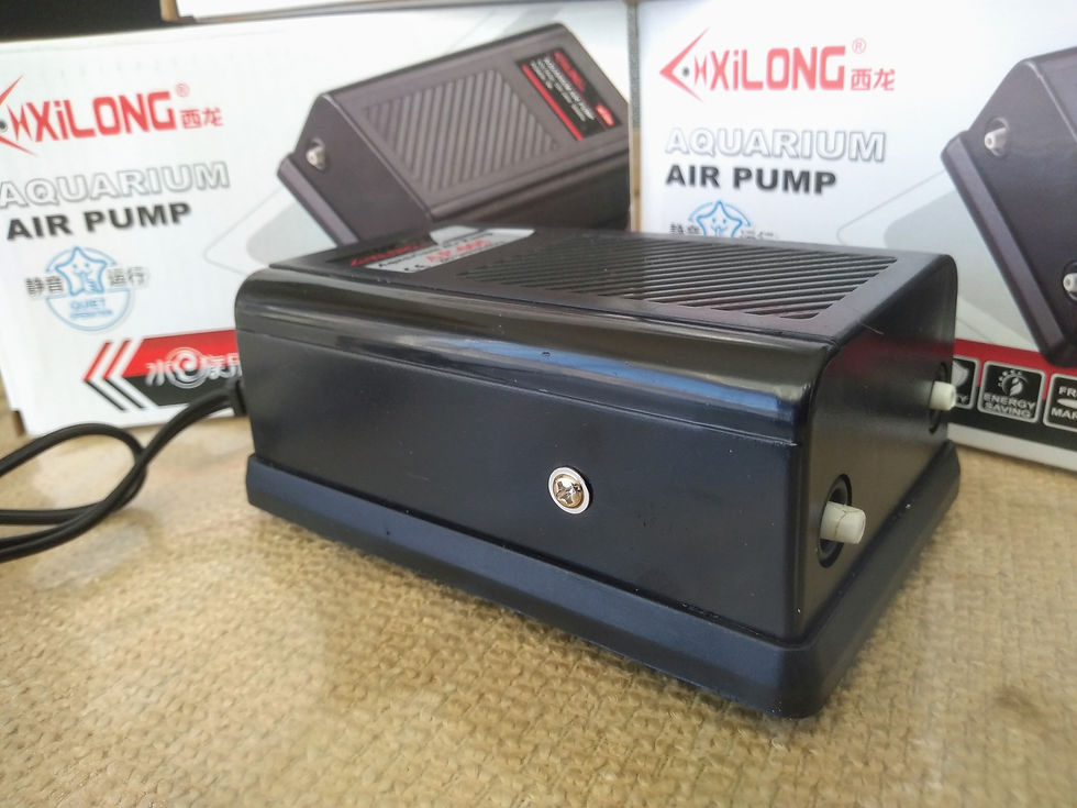 Miniatura: BOMBA DE AIRE  (XILONG) AP-005