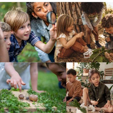Nature-Based Learning for Young Children