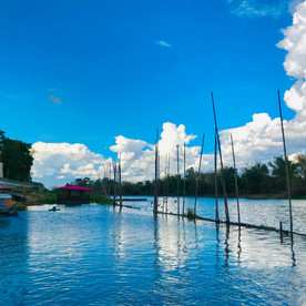 No.39 Peaceful Blue Habitat