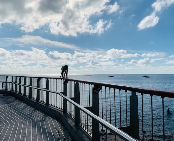 No.34 Bay Walk by the Railings