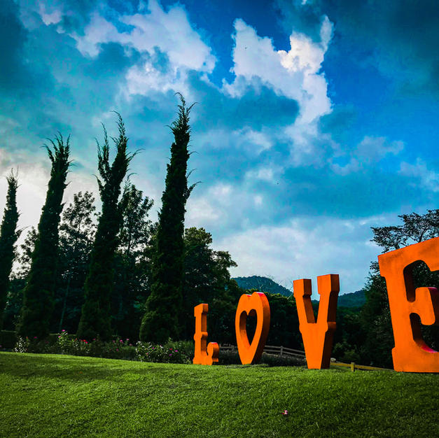 No.41 Love on the Ground
